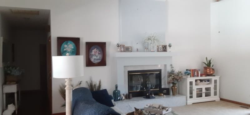 Sleek & Classy White